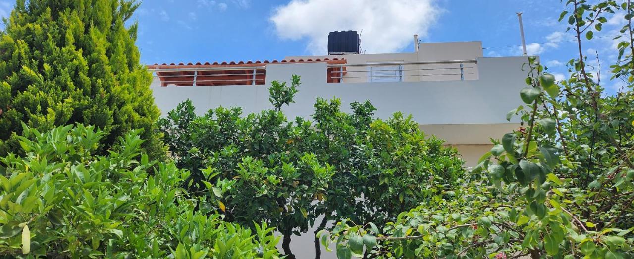 Villa Elli Χερσόνησος Εξωτερικό φωτογραφία